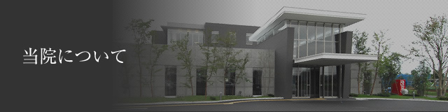 当院について